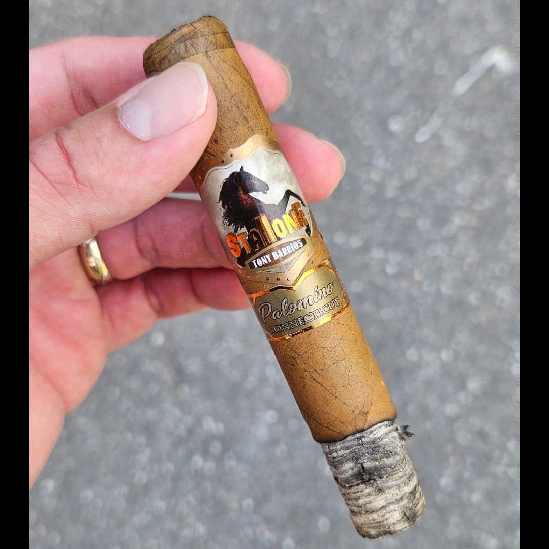 Vdgcigars's tweet photo. Stallone cigars Palamino Connecticut robusto review 

Enjoy our full review at https://t.co/0lDpXQZGqu 

#stallonecigar #Stallonecigars #tonybarrios #cigarreview #cigarreviews #cigar #cigars #cigarlife #botl  #cigarlifestyle #cigarsmoker https://t.co/GMitSs6qVy