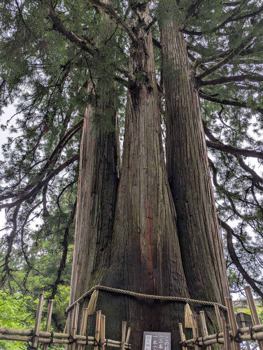 RcyYUS6obyhobmL's tweet photo. ２日目は善光寺から『戸隠神社』へ…ここは凄い気が整う!
杉並木を通って、パワー��凄い✨️✨️✨️
行って良かった!そして夫婦で行けて良かった! https://t.co/IjMvjzgFSK