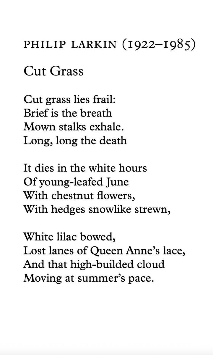 TomCook24's tweet image. 