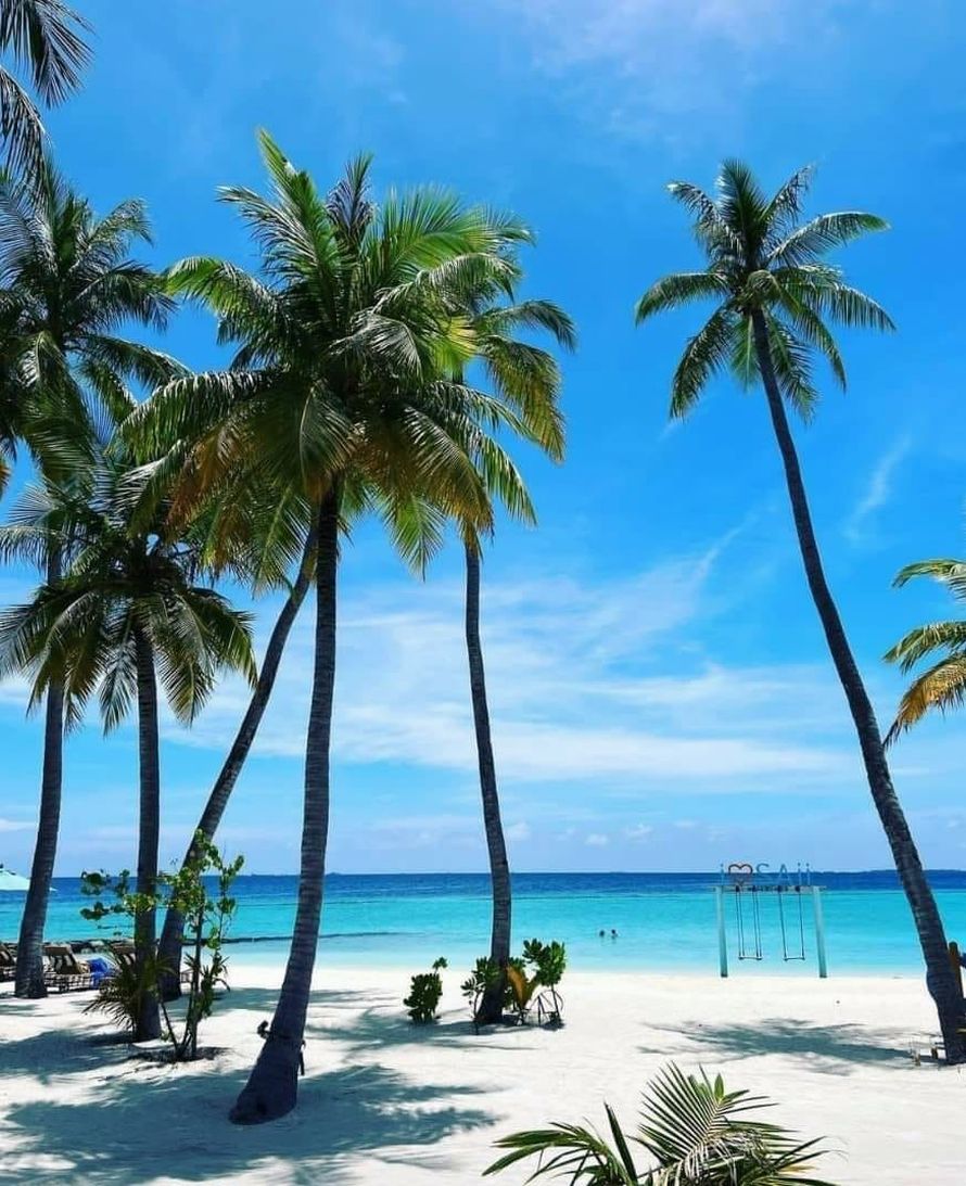 Beautiful Maldives 🏖️🏍️🚉