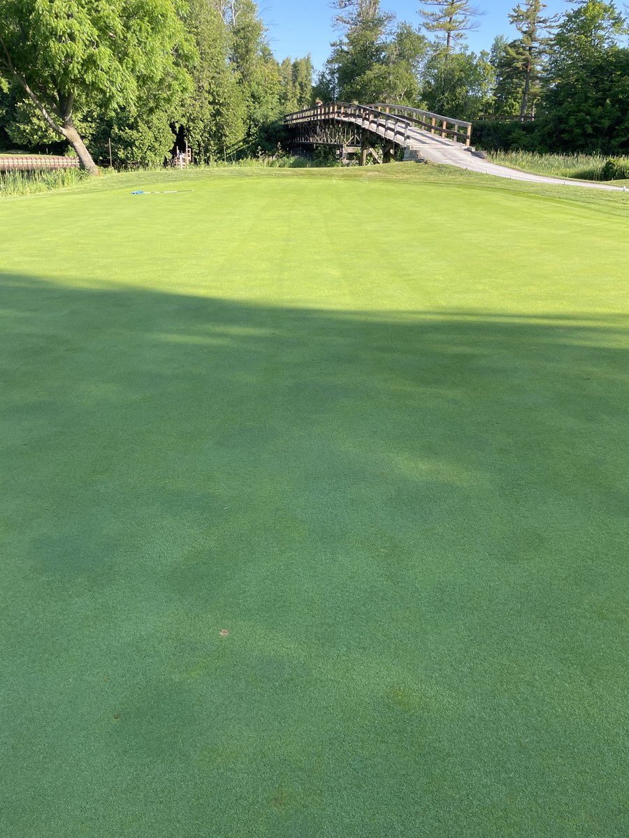 Scott White tweet media