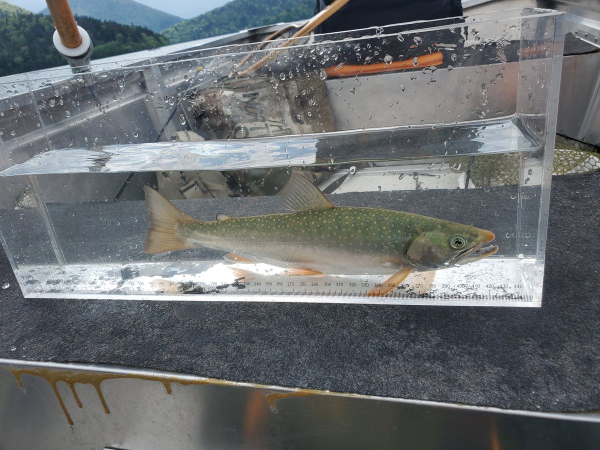 yy0307yy's tweet photo. 湖強化月間
然��湖、洞爺湖、琵琶湖で釣り
洞爺湖は完全ボウズ笑 https://t.co/wGmIjjgKc1