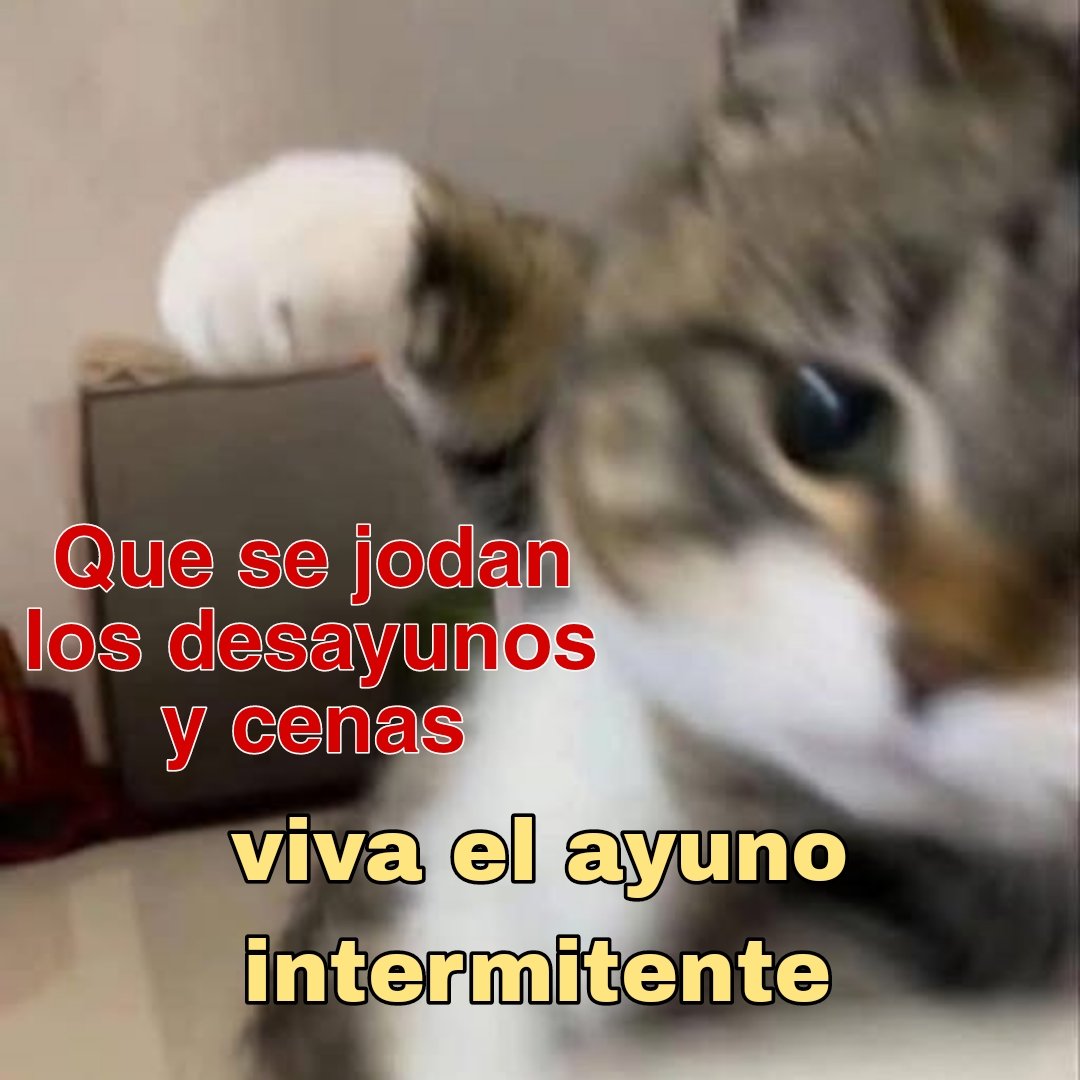 ₊˚⊹ᡣ𐭩Bunny₍ᐢ..ᐢ₎⊹ tweet media