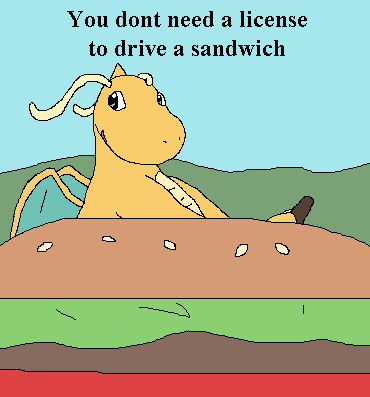 Dragonite you dont have a drivers license