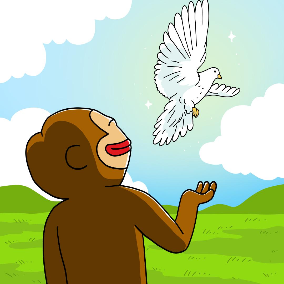 ponkehq's tweet photo. GM ☀️ Higher 🕊️ https://t.co/IuOIXe9riF