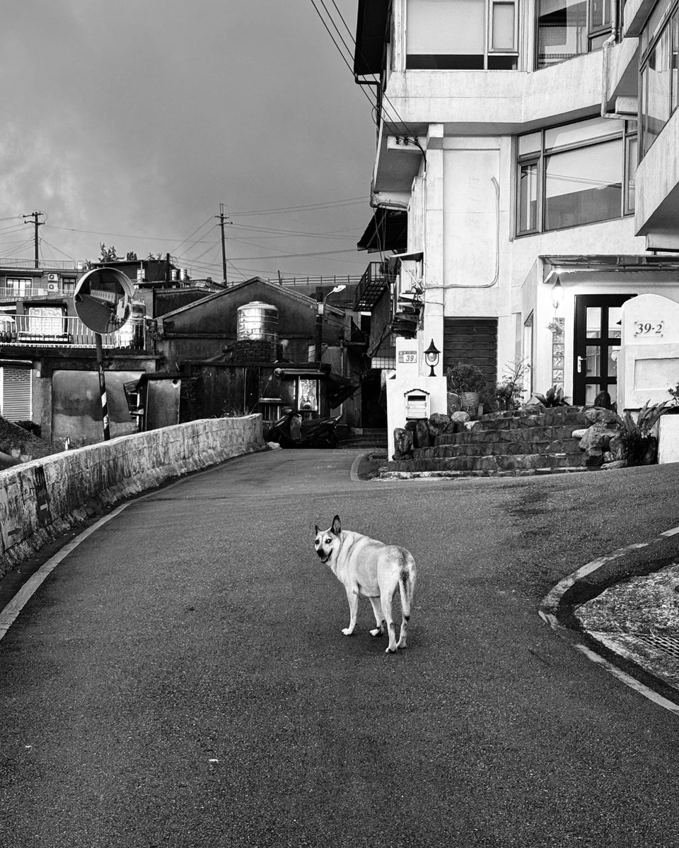 今日は宜蘭、羅東を回って新北市の端芳駅の商店街でご飯を買った。行列の出来る龍鳳腿の店で薩摩揚げ的なのをゲット❣️
