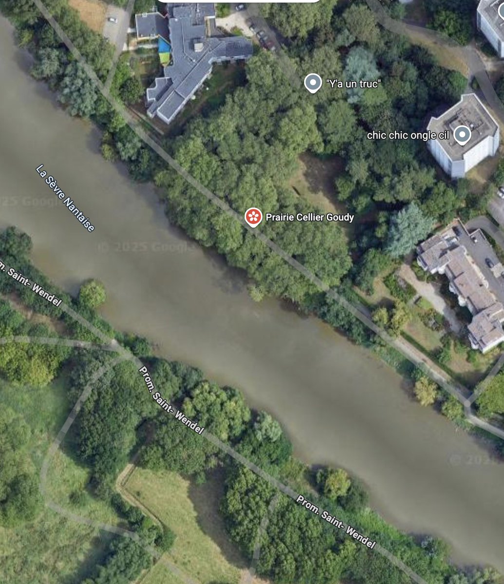 Nanteshype's tweet image. 👀🔎🖥️Projet à #Nantes : " Mise à disposition de la Berge Sellier-Goudy pour une activité de guinguette. " 📁Limite de réponse: 24/07 /2025 #restaurant #terrasse #café