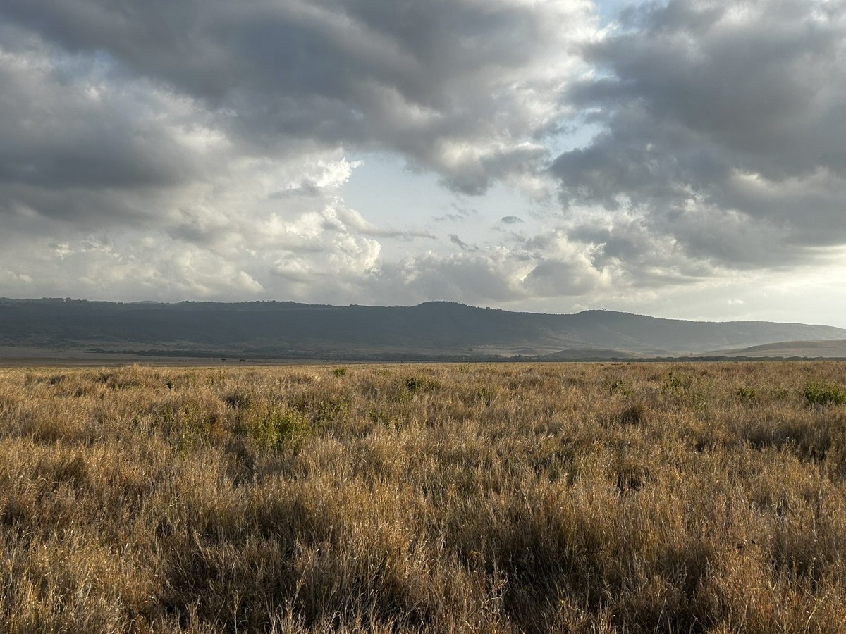 Individuals with a common cause. The power of sports to unite. In support of conservation, specifically Tusk Trust. 

And the fun of running in the wild.

25th year of the Lewa marathon. Picture: Tusk Trust

#nature   #conservation  #Kenya  #lewa