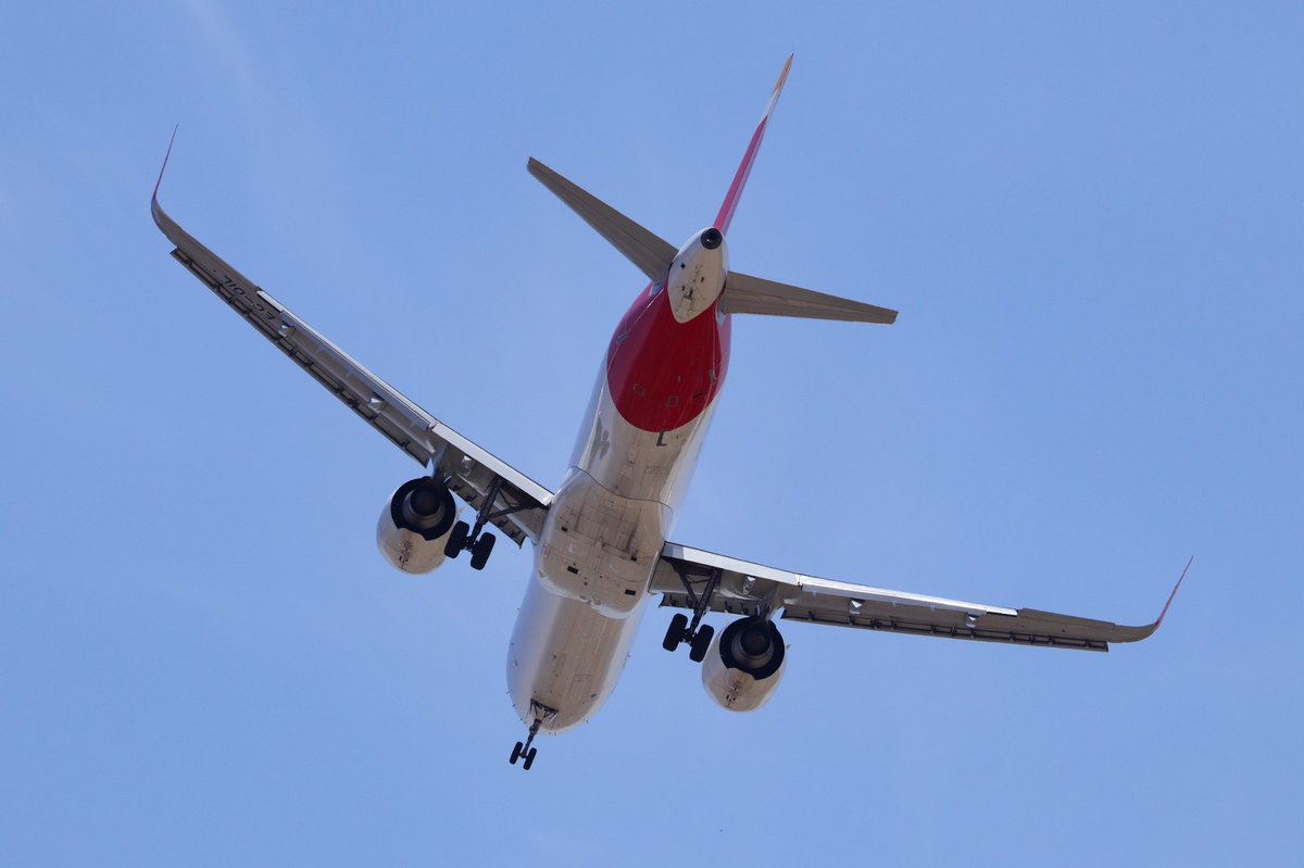dani_lecu's tweet image. Visita de este EC-OIL de @Iberia @Airbus A321-253NY(xlr) para un evento especial en #LECU donde también ha participado la FIO