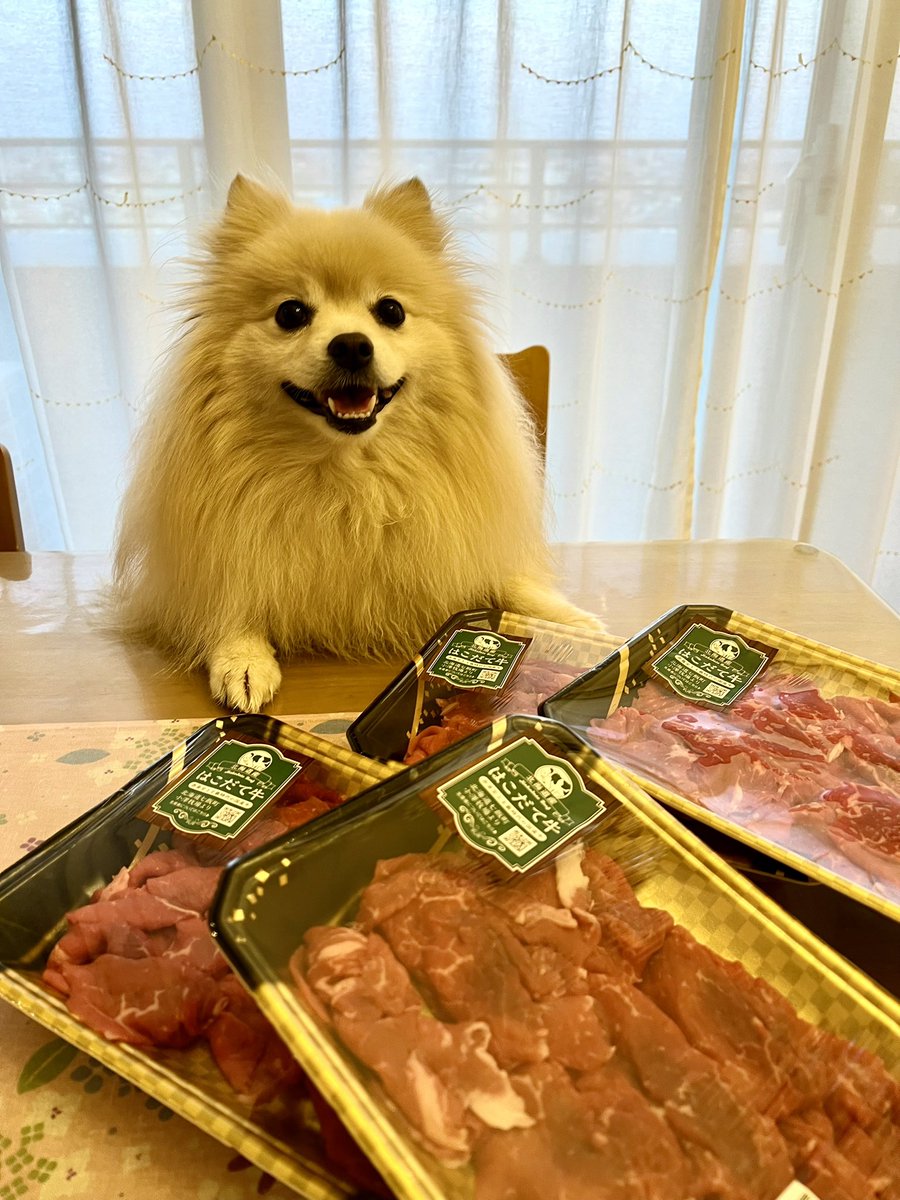 2016年、2014年にアウンサン・スーチー氏
（🇲🇲のノーベル平和賞受賞者）が『熱帯地域の報告書』を
発表した事を記念し「国際熱帯デー」🌴
温帯（暖）湿潤気候って…どんな感じだったっけ❓
連日の猛暑で記憶喪失になりそうきゅん🐶💦
＆「肉の日」‼️🍖✨
📸一足お先に、大宮氷川神社で茅の輪くぐり🙏⛩️