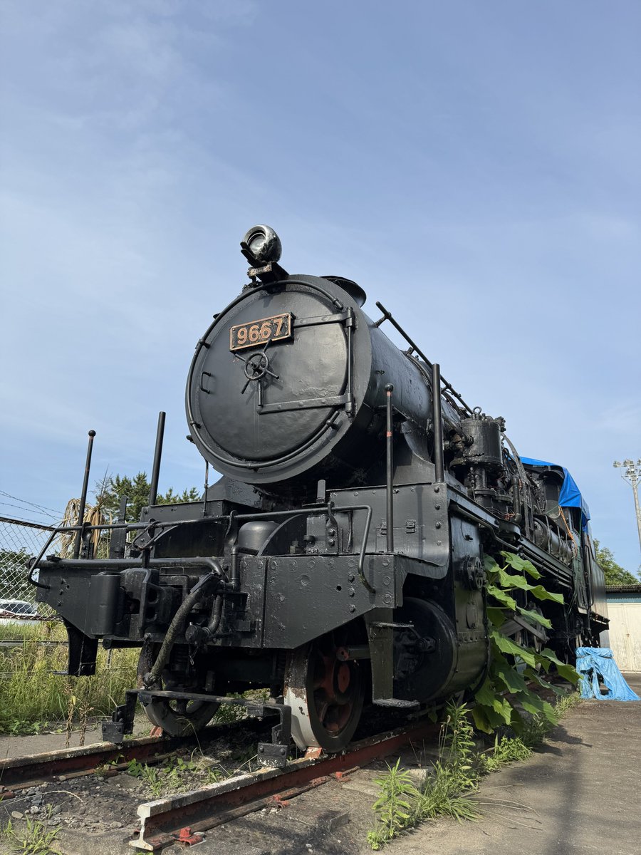 iwakitetu's tweet image. #save9667

本日の9667

健在であります！！

僅かな希望を信じてキャブにシートをかけて劣化を少しでも和らげようと努力してまいりました。
同時にキャブ屋根修繕の見積もりをお出しし予算をつけて貰えるよう要望してまいりました……
解体費用が修繕費用に転じてくれることを信じて…