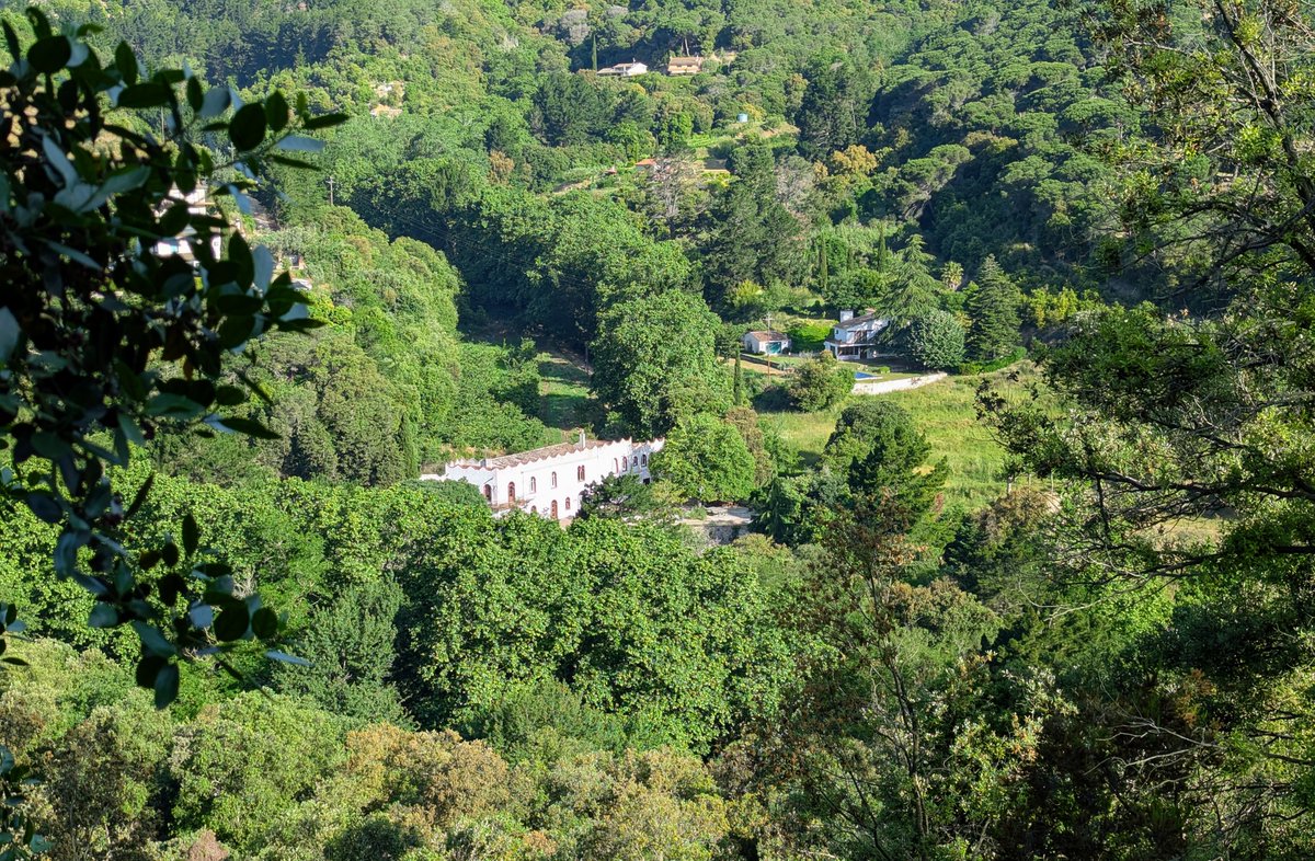 Richard D. Bartlett tweet media