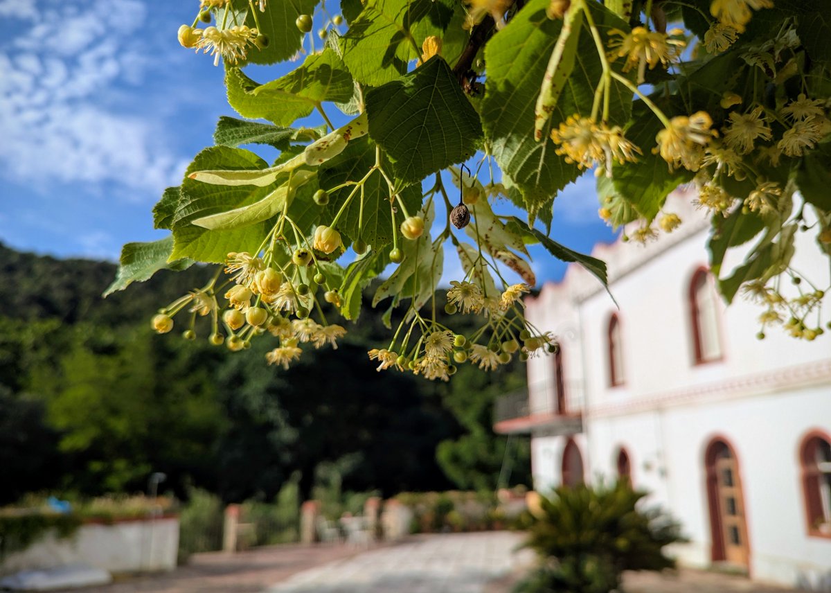 Richard D. Bartlett tweet media