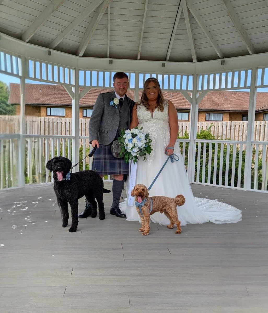 Kyle Anderson tweet media