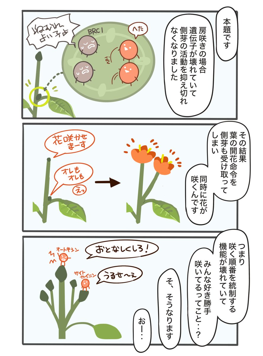 カレンブーケドールちゃんとお花シリーズ
白い花編 房咲き性

#カレンブーケドール
#ジェンティルドンナ
#ウマ娘
#カレンブーケドールちゃんとお花 