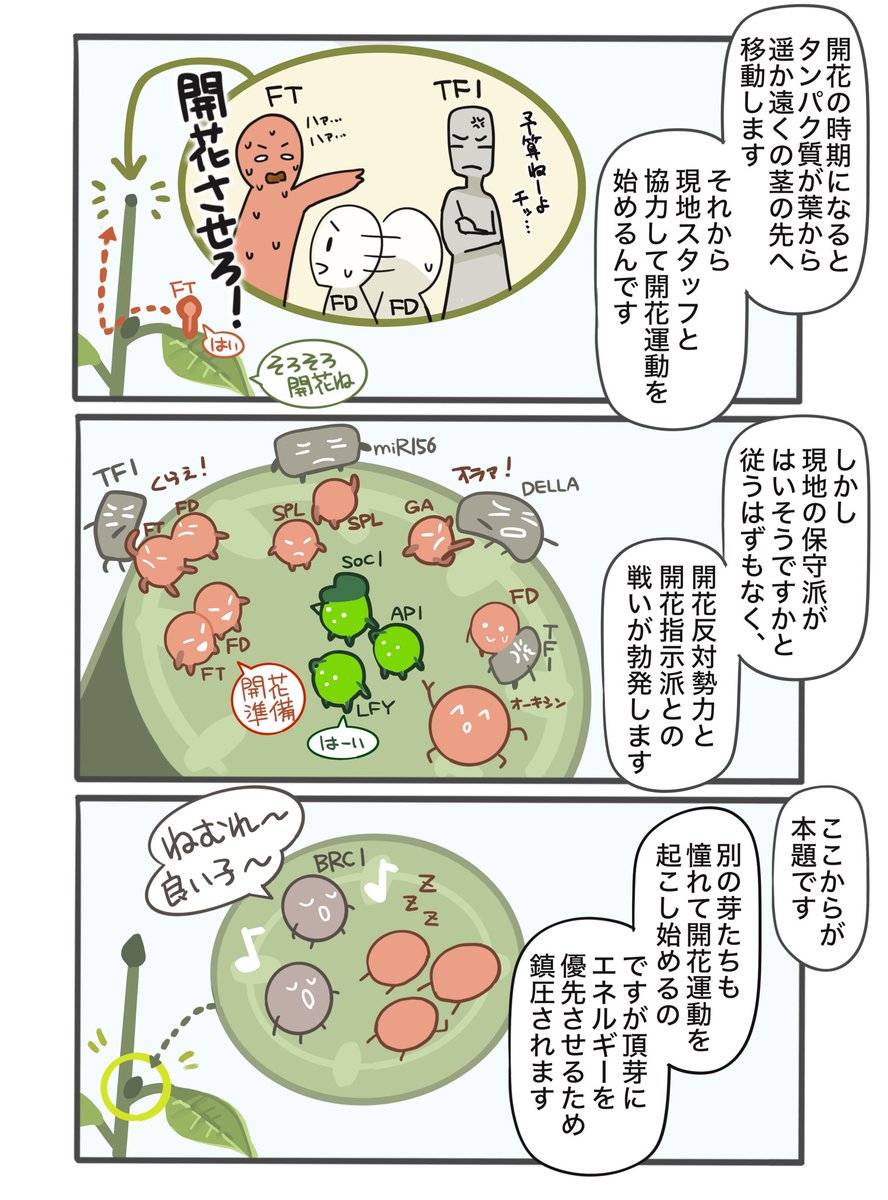 カレンブーケドールちゃんとお花シリーズ
白い花編 房咲き性

#カレンブーケドール
#ジェンティルドンナ
#ウマ娘
#カレンブーケドールちゃんとお花 