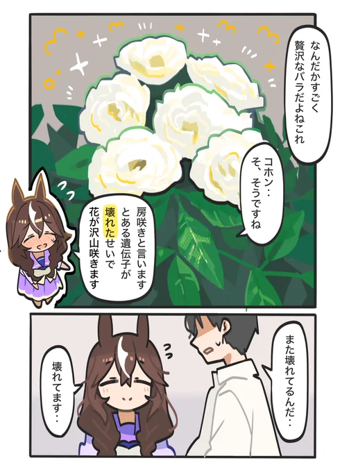 カレンブーケドールちゃんとお花シリーズ
白い花編 房咲き性

#カレンブーケドール
#ジェンティルドンナ
#ウマ娘
#カレンブーケドールちゃんとお花 