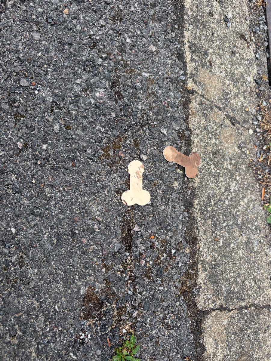 There was a bachelorette party at the hotel last night. They raided our donuts