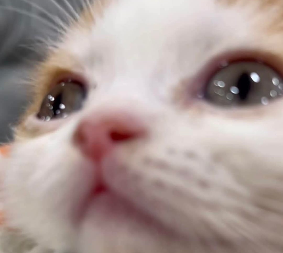 A_Karerina's tweet image. Me volteas a ver en el cine y estoy así: