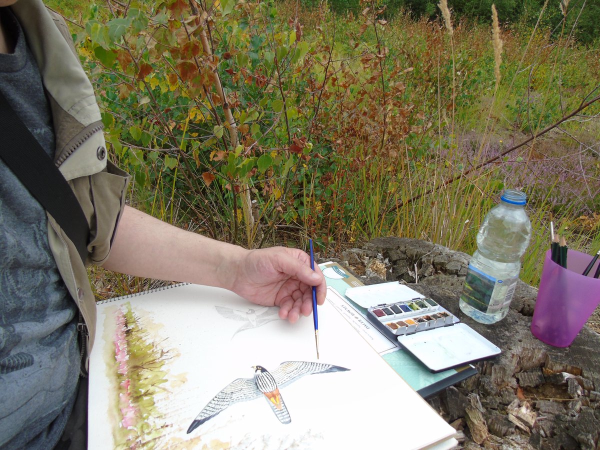 Calling all wildlife art enthusiast for our Sunday 6th July Art Demo with Steve Kershaw and Nature Journaling with our staff &amp; volunteers. 🎨

We will provide the materials.

Just drop in and pay as you wish for some creative journaling.

More info here 👇
events.rspb.org.uk/thelodge