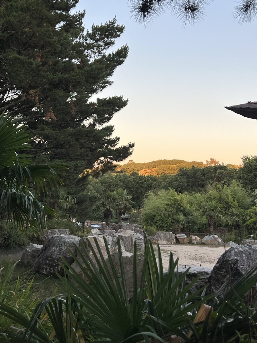 Sophie Primas (@sophieprimas) on Twitter photo Les Terres de Natae : 3 ans dâun projet fou, cela mĂ©rite considĂ©ration, encouragements et admiration !
3 ans que Sebastien Musset (<a href="/sebmms/">Sebastien Musset</a>) poursuit avec son équipe la transformation du zoo de Pont Scorff en Parc Refuge pour les espÚces les plus menacées de disparition.
Un Les Terres de Natae : 3 ans dâun projet fou, cela mĂ©rite considĂ©ration, encouragements et admiration !
3 ans que Sebastien Musset (<a href="/sebmms/">Sebastien Musset</a>) poursuit avec son équipe la transformation du zoo de Pont Scorff en Parc Refuge pour les espÚces les plus menacées de disparition.
Un