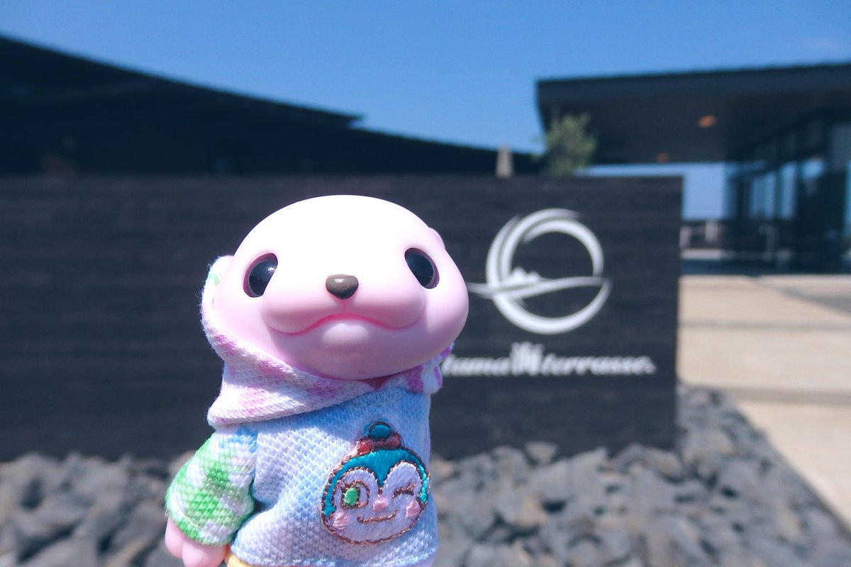 merochu1's tweet photo. tama海Terraceに行きました🌊
日向席だけど、風が涼しくて気持ち良かった‧⁺

#モンスターファクトリー https://t.co/oREzGmfwXP