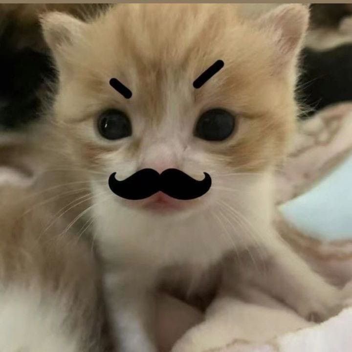 punthss's tweet image. 