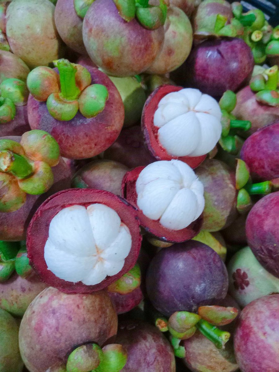 📢  มังคุดสวย ๆ จากสวนนครศรีพร้อมเสิร์ฟ ออแกนิคสุด ๆ ปลูกเอง ดูแลเอง เก็บใหม่เองทู้กกกวัน คุณแม่ส่งภาพอัพเดทตลอด หากสนใจสามารถก๊อก ๆ dm มาได้เลยนะคับ รอบส่งไวสุดวันพรุ่งนี้น้า 📦

5 กก. 250 บาท
10 กก. 450 บาท
รวมส่งแล้วค้าบ 💜