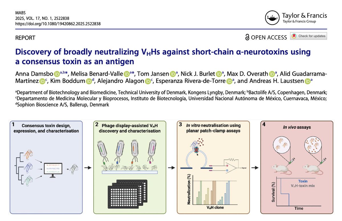 New research article where, we use consensus #toxins as #antigens for discovery of #nanobodies, showcasing this with short-chain alpha-neurotoxins from elapid snakes - that are notoriously difficult to discover antibodies against.

Read article here: tandfonline.com/doi/full/10.10…