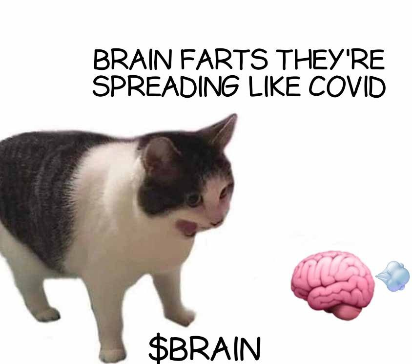 BRAINFART_SOL's tweet photo. GM from the $BRAIN fam 

Woke up, forgot where I was, remembered I never knew..

Breakfast was 3 memes, 2 braincells, and a mystery fart.

Todays vibes? Immaculate. 
Strategy? Unclear. 
Purpose? Probably. 

#BrainFartGM ☕💨🧠 https://t.co/DJqLvaa1Or