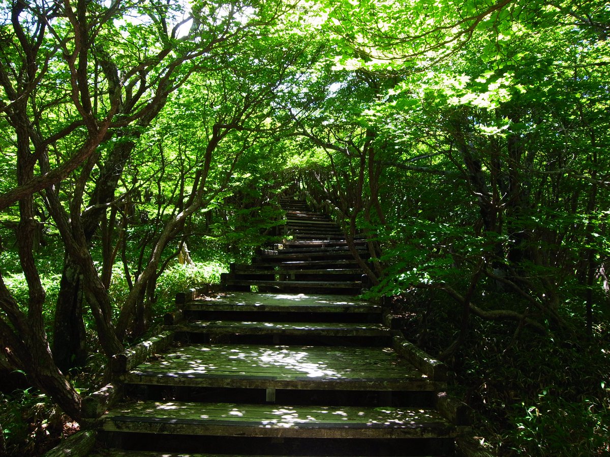 NARA_CK105's tweet photo. 梅雨明け翌日の #大台ヶ原 は #登山 と #無線 日和でした。

カナガワRM380 53/53 徳島県徳島市眉山
おおさかTK86 57/57 大阪府高槻市淀川河川敷

交信ありがとうございました！ https://t.co/bYzeUBJIN0