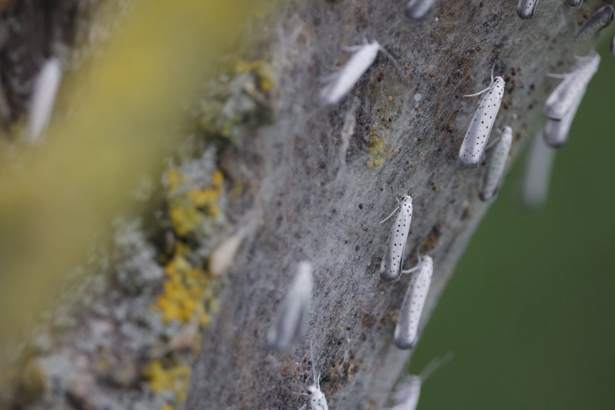 Mark Tyrrell tweet media