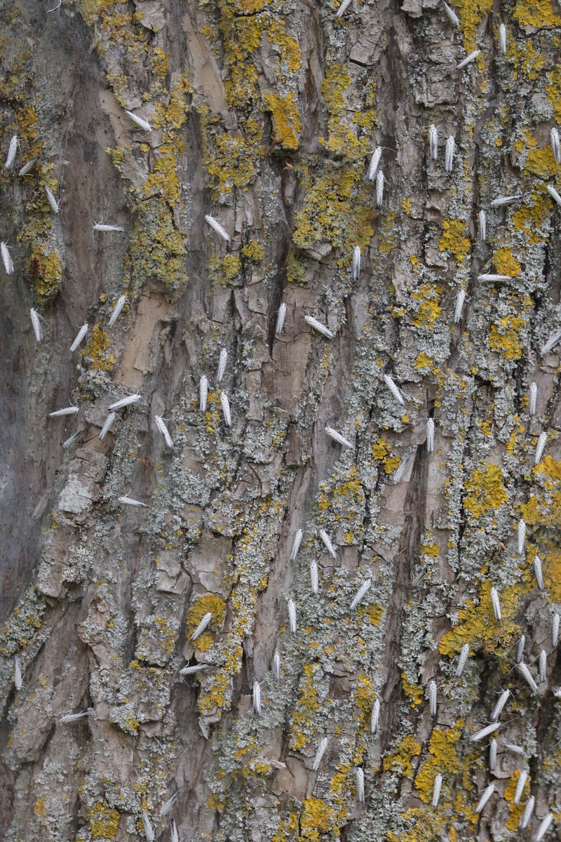 Mark Tyrrell tweet media