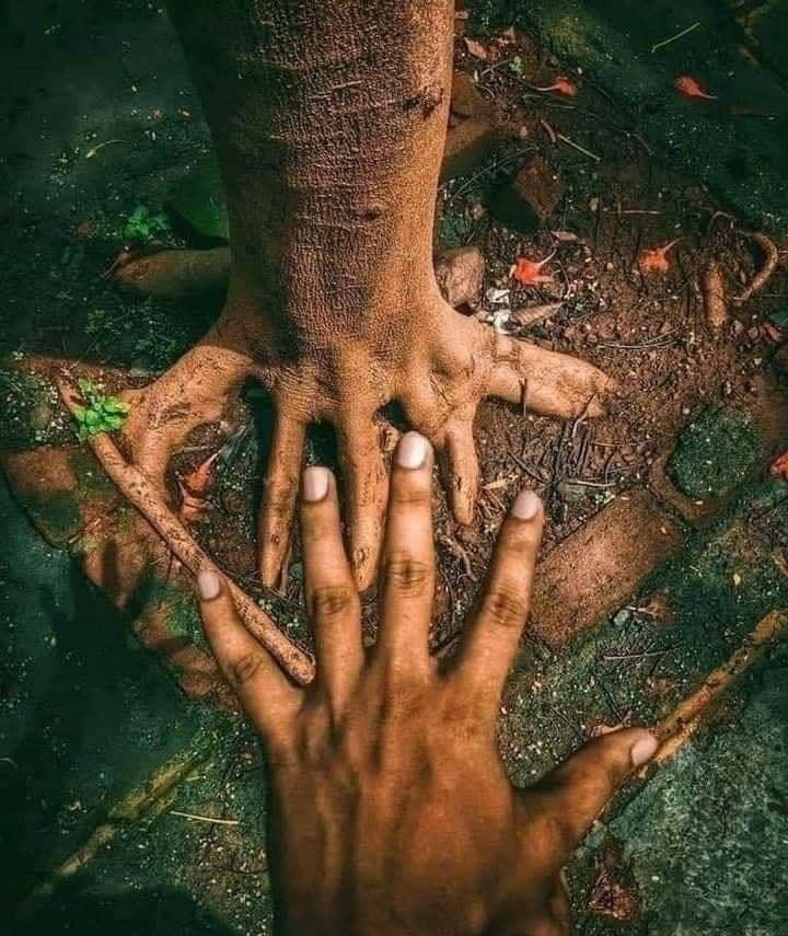 Son ırmak kuruduğunda, son ağaç yok olduğunda, son balık öldüğünde, beyaz adam paranın yenmeyen bir şey olduğunu anlayacak.

Kızılderili Atasözü
#yangın