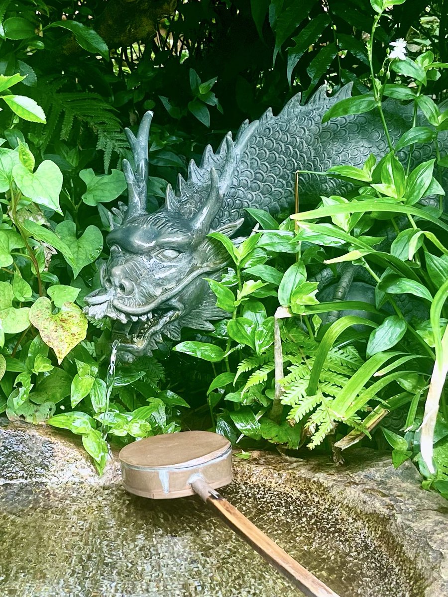 Kumatani's tweet photo. 波長が合う感覚を体感できるようになってから、霊気も御神気も人間の思念も、目に見えないエネルギーを信頼し、動くことで非常に豊かな生活へと導かれていきます
ありがとうございます
とほかみえみため https://t.co/6OgoEne7ue