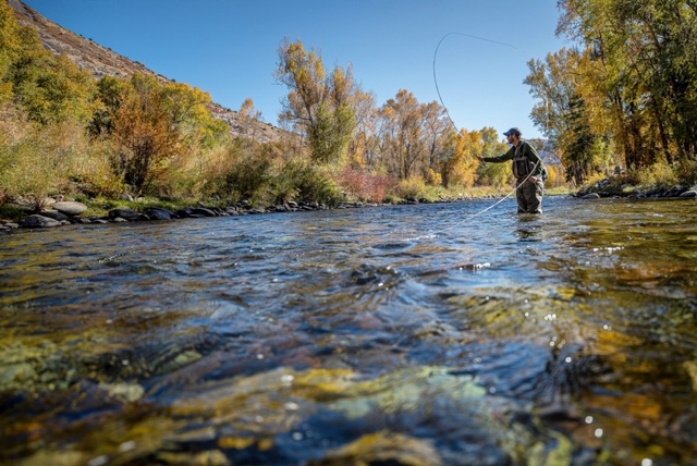 SUNDAY MORNING QUESTION: Should Aspen get to further drain Maroon and Castle Creeks, and the Roaring Fork River, to give cheap subsidized water to billionaire homeowners? 

Read Here: savethecolorado.org/colorado-river…