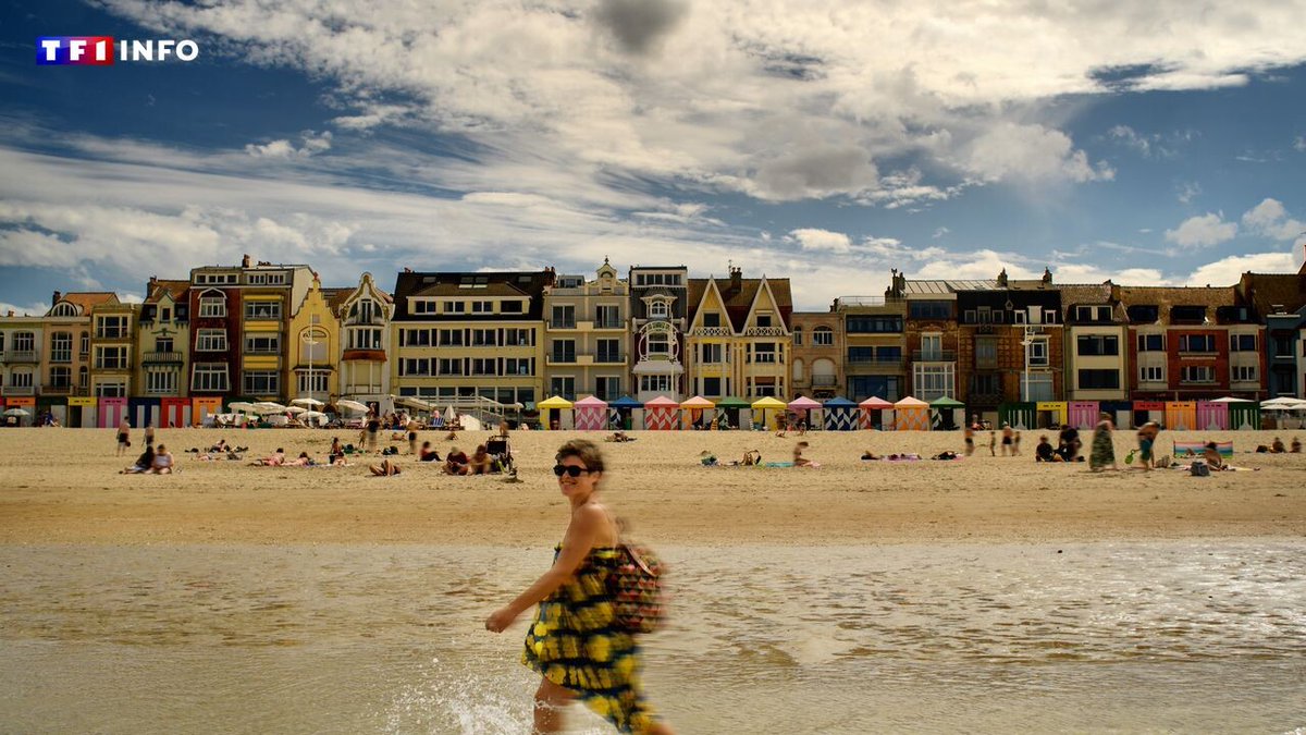 Les plages du Nord et du Pas-de-Calais n'ont rien à envier aux autres ! Voici les dix plus belles
➡️ l.tf1info.fr/57K