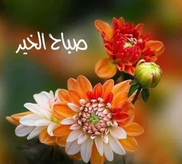 يوم جميل 🌹☕