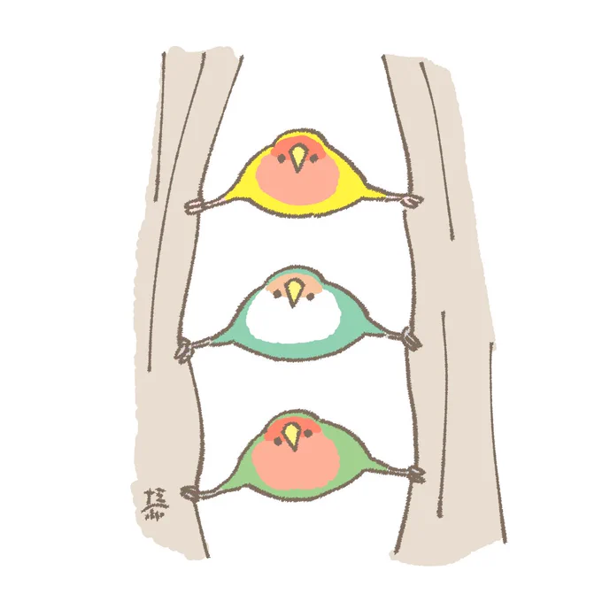おはようございます 7月2日(水)の朝です。 \カーテン開けときました/