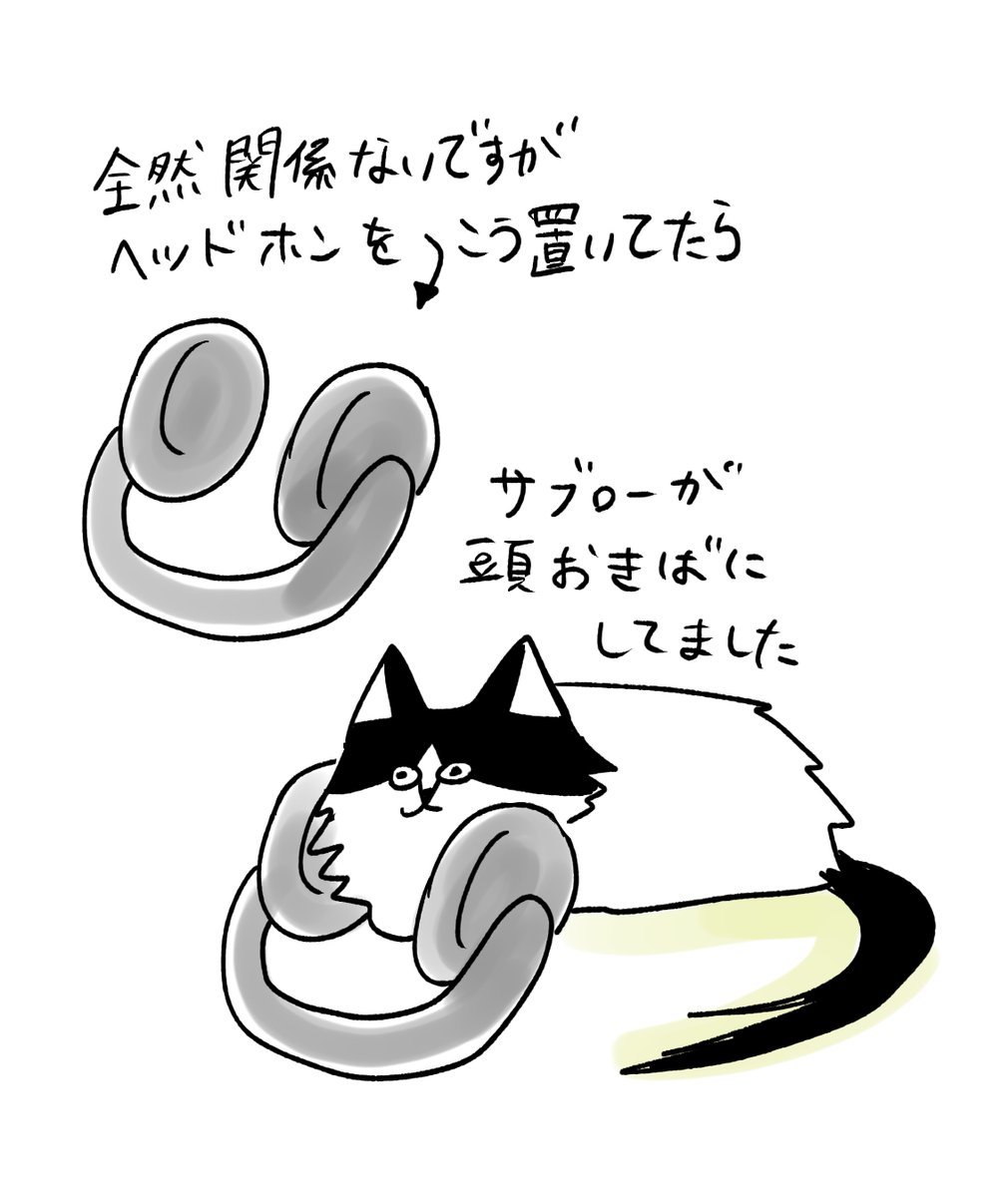 ゴメス近況⑤
一日一日を大切に過ごしています…! 