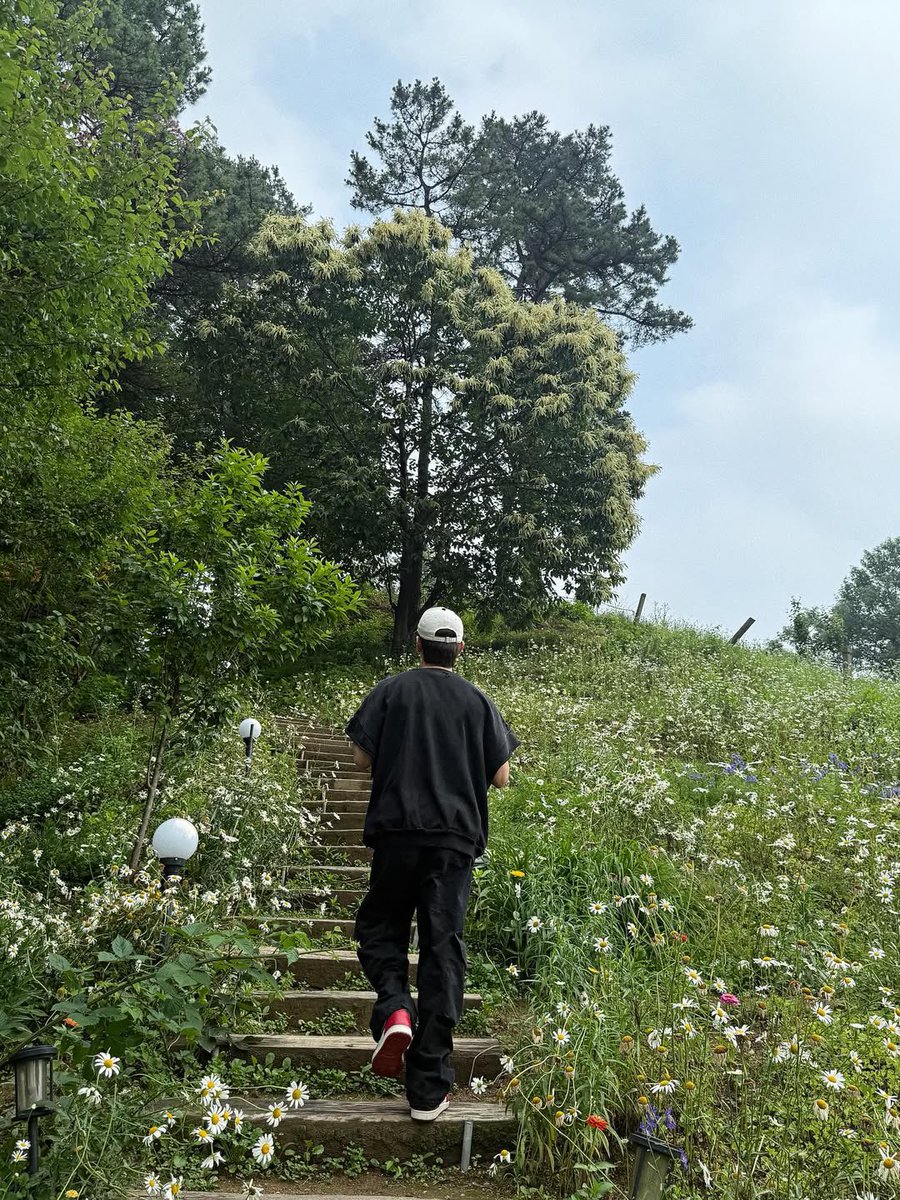 hjszones's tweet photo. he must’ve love daisies a lot 🥹🌼 https://t.co/RtctJkQasF
