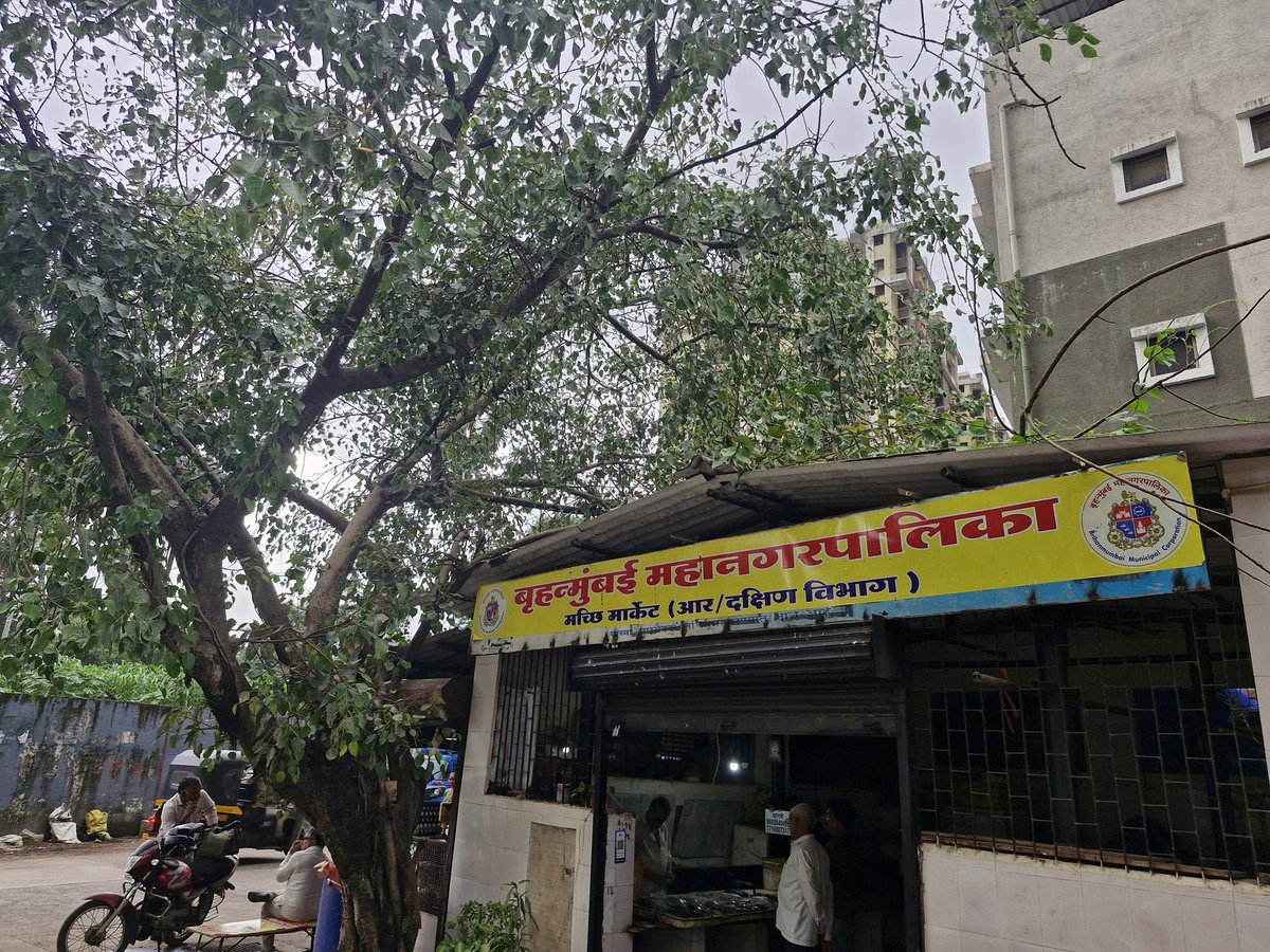 @VBAWARD28 tweet media