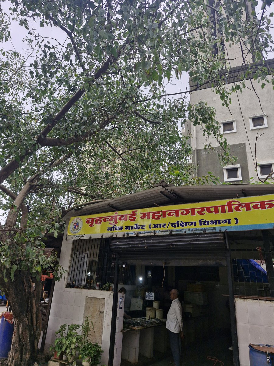 @VBAWARD28 tweet media