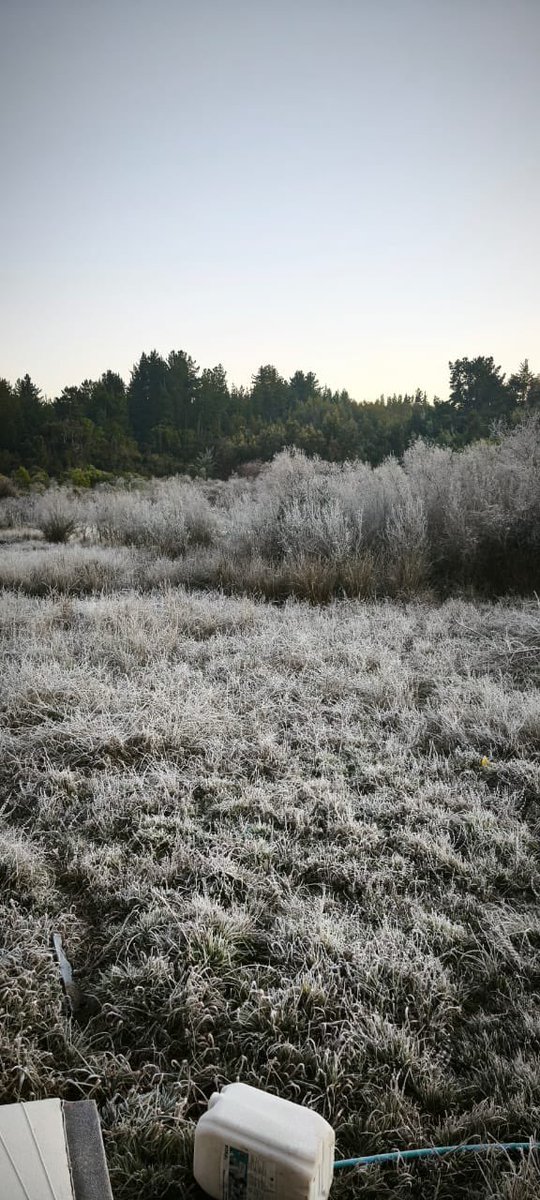 tet_planeta's tweet photo. 🥶Florida -3 grados https://t.co/ZzpzONISKb