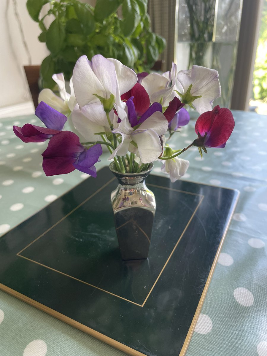 Sweet peas starting!