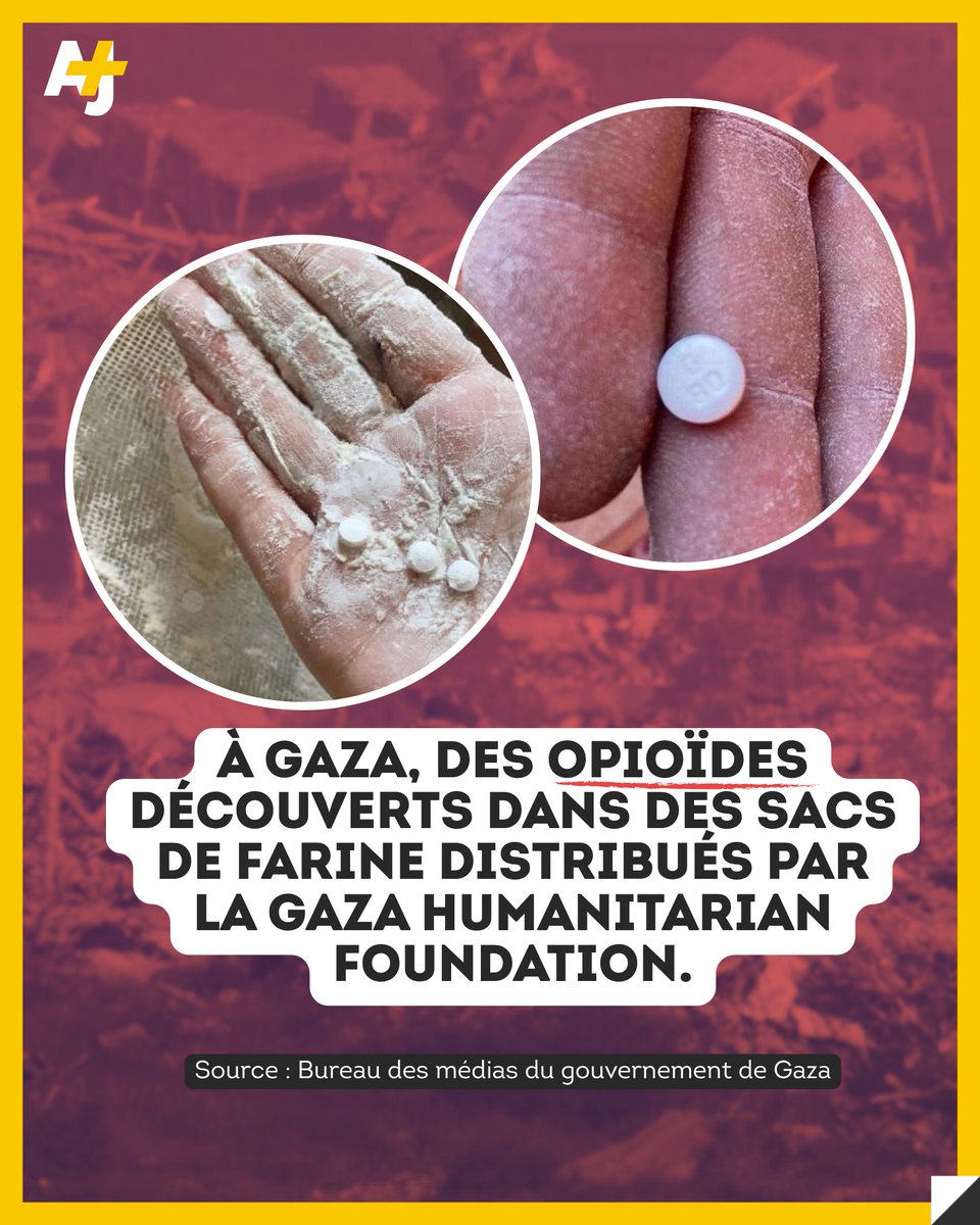 Des comprimés d’oxycodone, un puissant antidouleur classé comme narcotique, ont été découverts dans des sacs de farine destinés aux civil·es de Gaza, selon les autorités locales. Ces sacs provenaient de la Gaza Humanitarian Foundation (GHF), une organisation soutenue par les