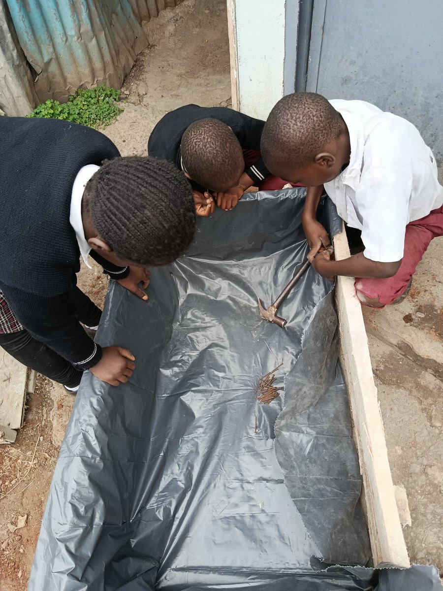 We’ve established a vibrant school garden at Hope Gateway School in the heart of the Mukuru slums empowering children to be part of the food systems at a young age. From learning to grow their own food to understanding climate action and environmental care, 
<a href="/aphrc/">APHRC</a>