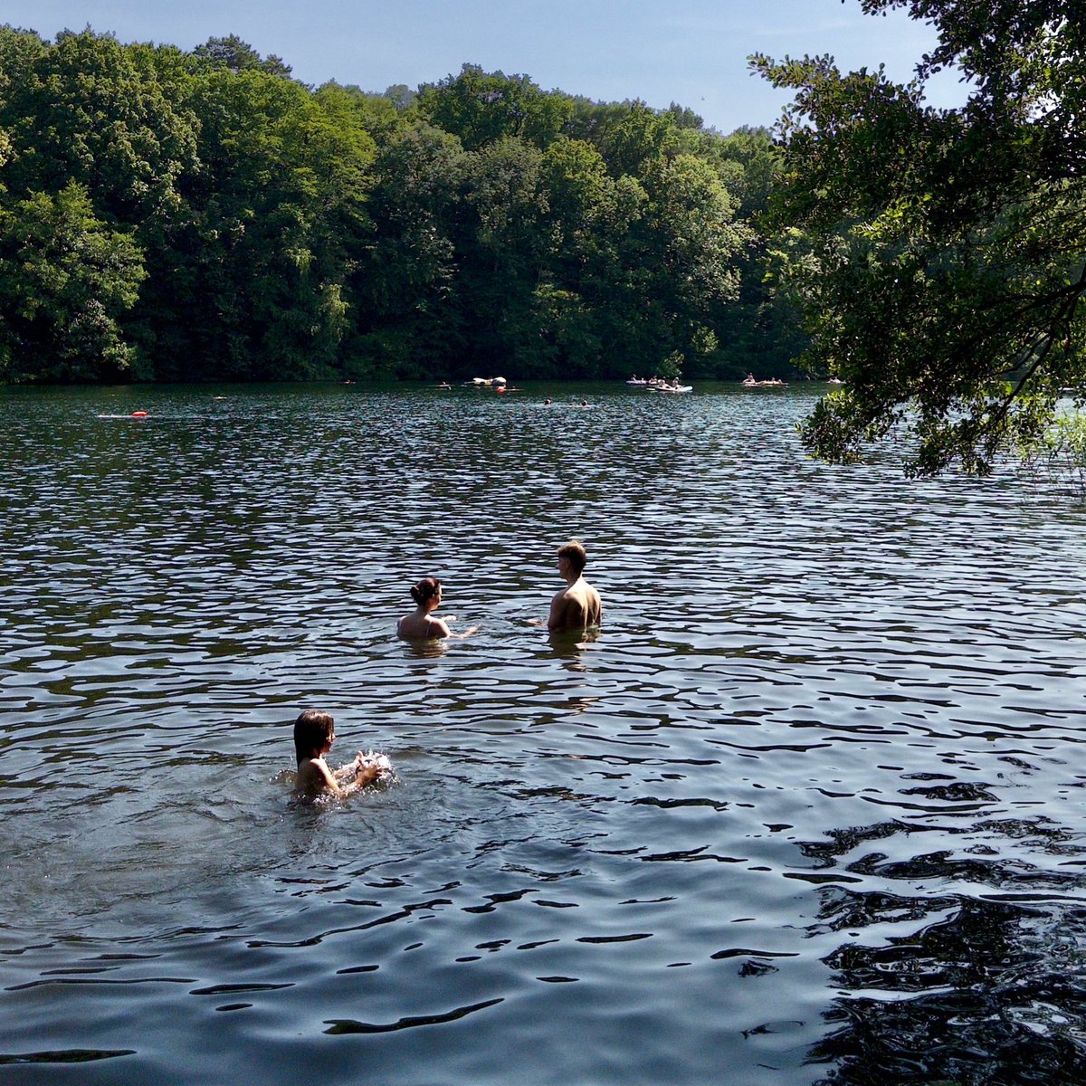 joshqharris's tweet image. Berlin summer