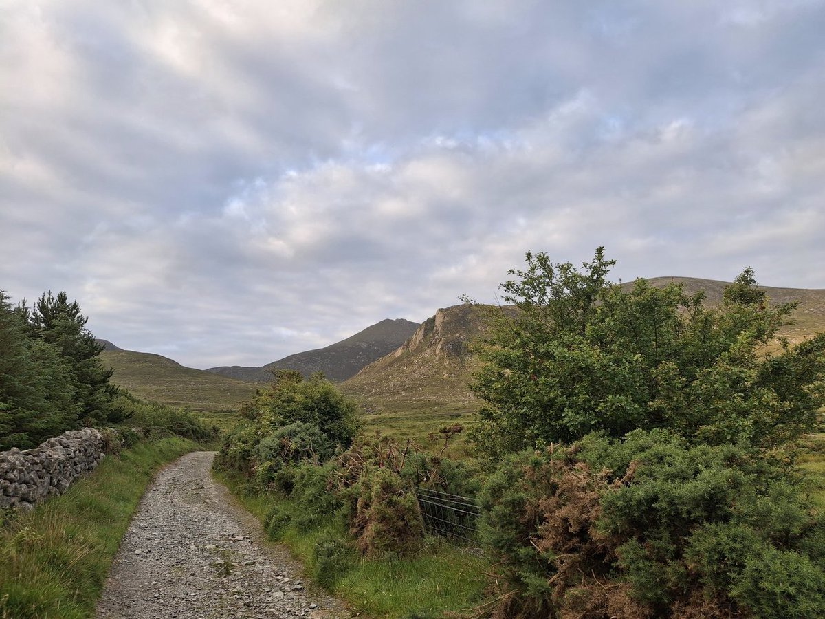 AmorphusCloud's tweet photo. The plus side of insomnia is that you are up early enough to have the mountains all to yourself!
#MountainsofMourne #Walking https://t.co/GzOF7JRXjh