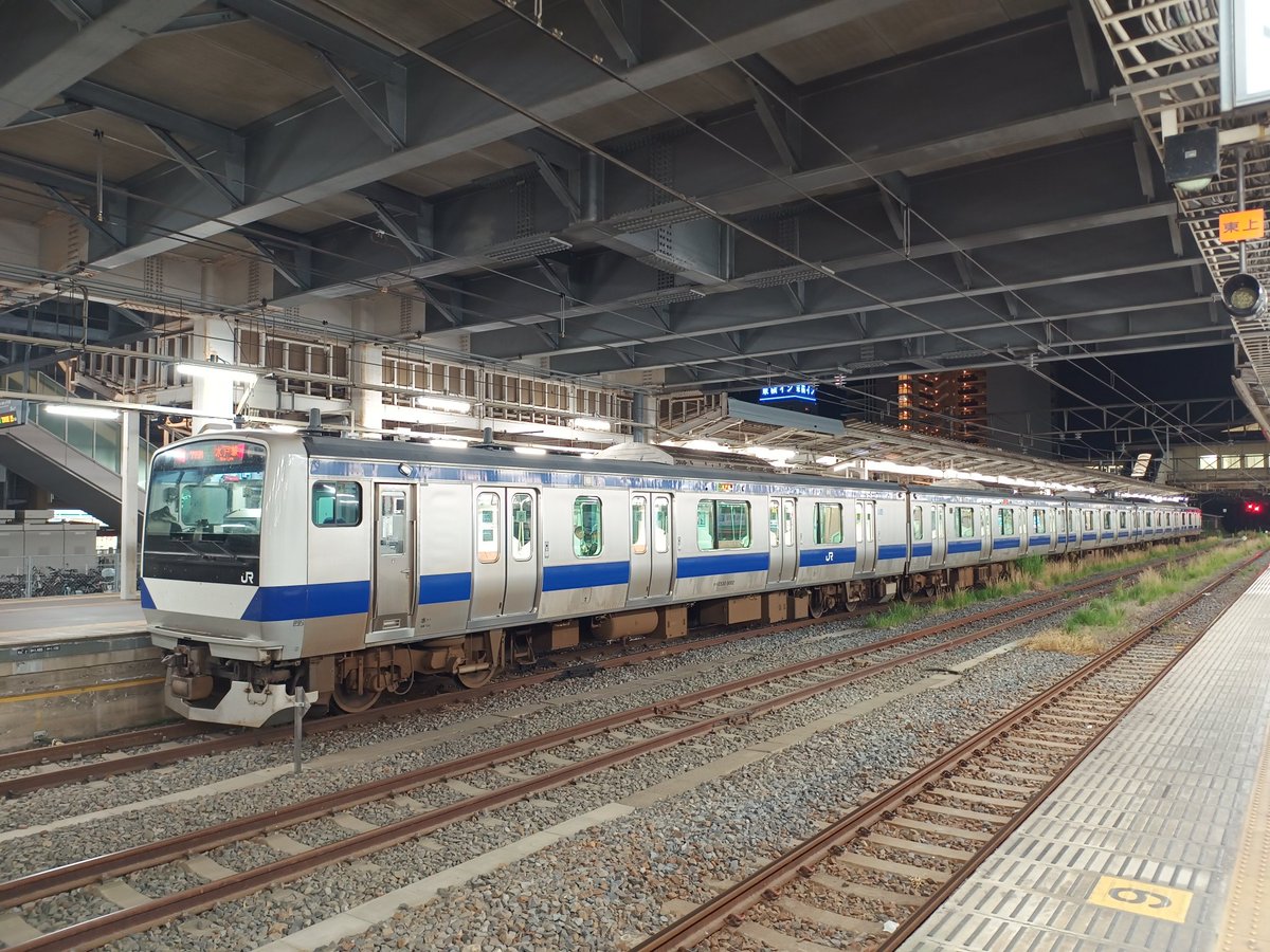 tkimura53007's tweet image. 小山駅なう。13番線と15番線の間の雑草の生え方が好き。